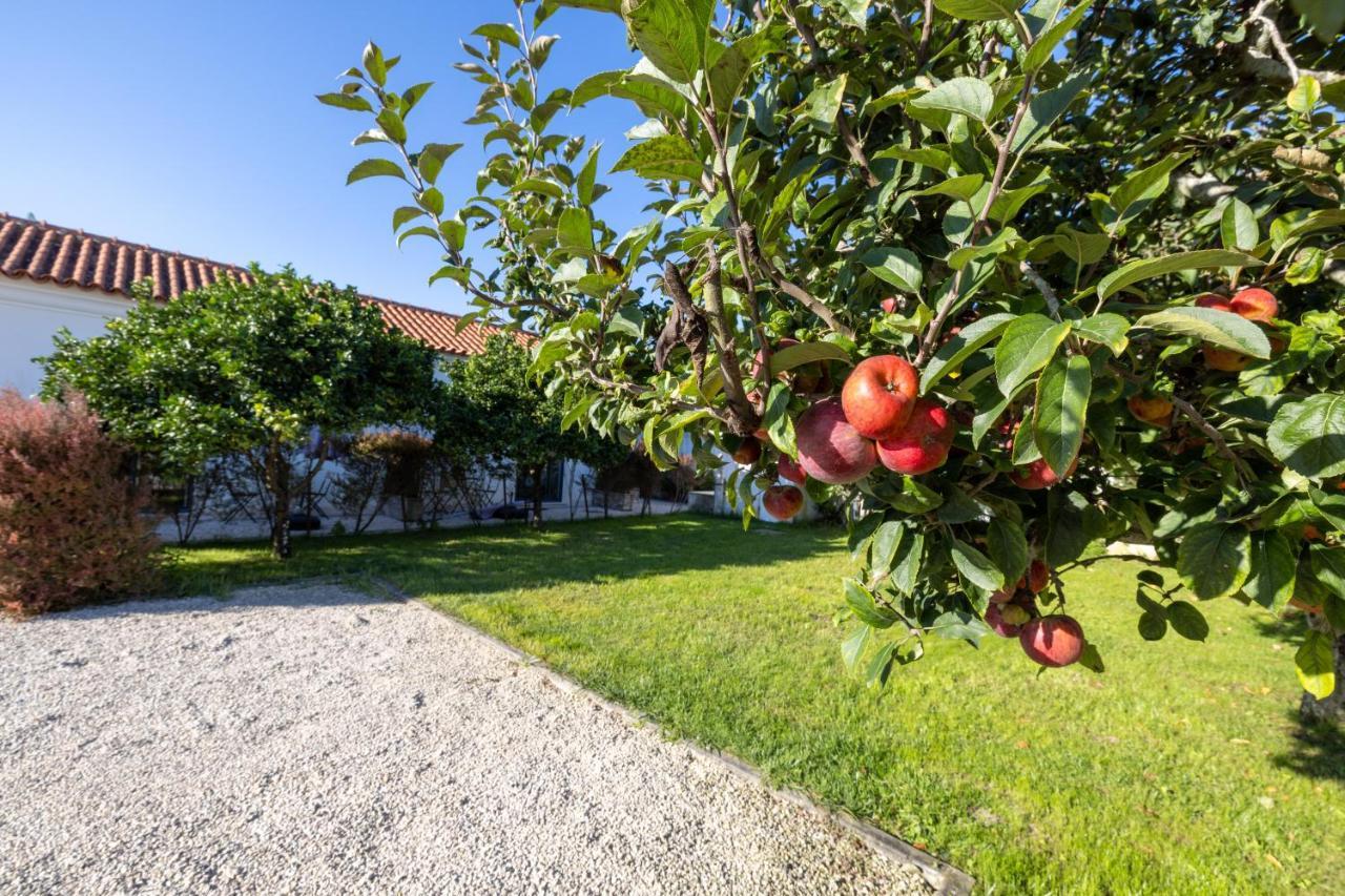 Casa Da Lagoa E Forja - Turismo Rural 米拉 外观 照片